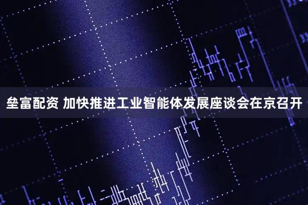 垒富配资 加快推进工业智能体发展座谈会在京召开