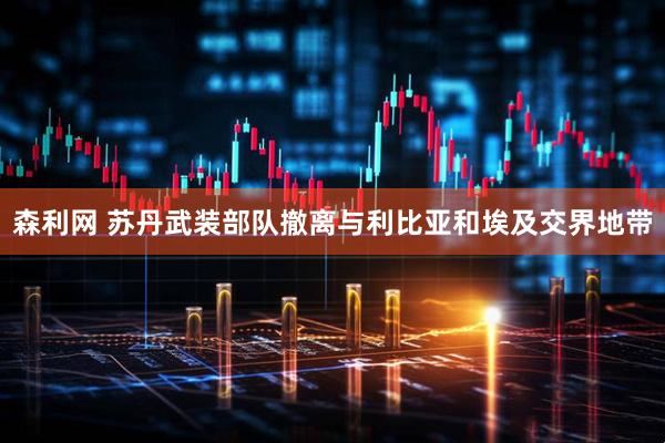 森利网 苏丹武装部队撤离与利比亚和埃及交界地带
