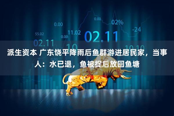 派生资本 广东饶平降雨后鱼群游进居民家，当事人：水已退，鱼被捉后放回鱼塘