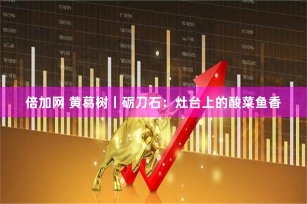 倍加网 黄葛树丨砺刀石：灶台上的酸菜鱼香