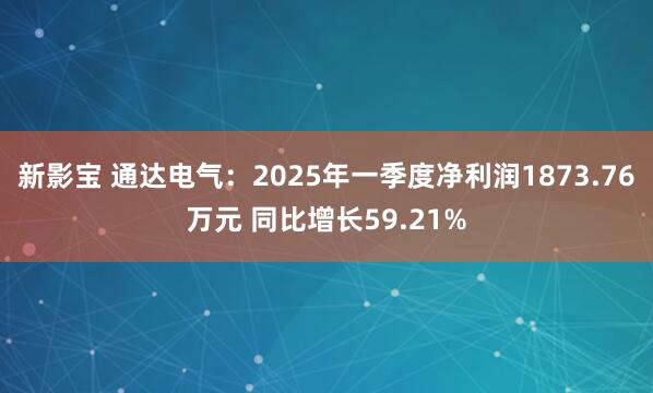 新影宝 通达电气：2025年一季度净利润1873.76万元 同比增长59.21%