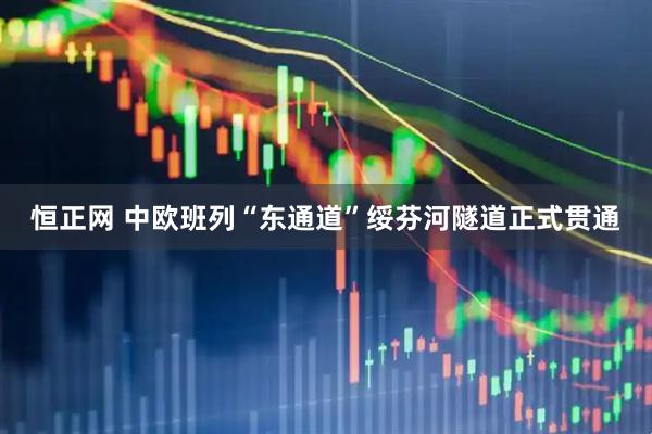 恒正网 中欧班列“东通道”绥芬河隧道正式贯通